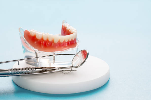 Best Preventive Dentistry  in Bellaire, TX